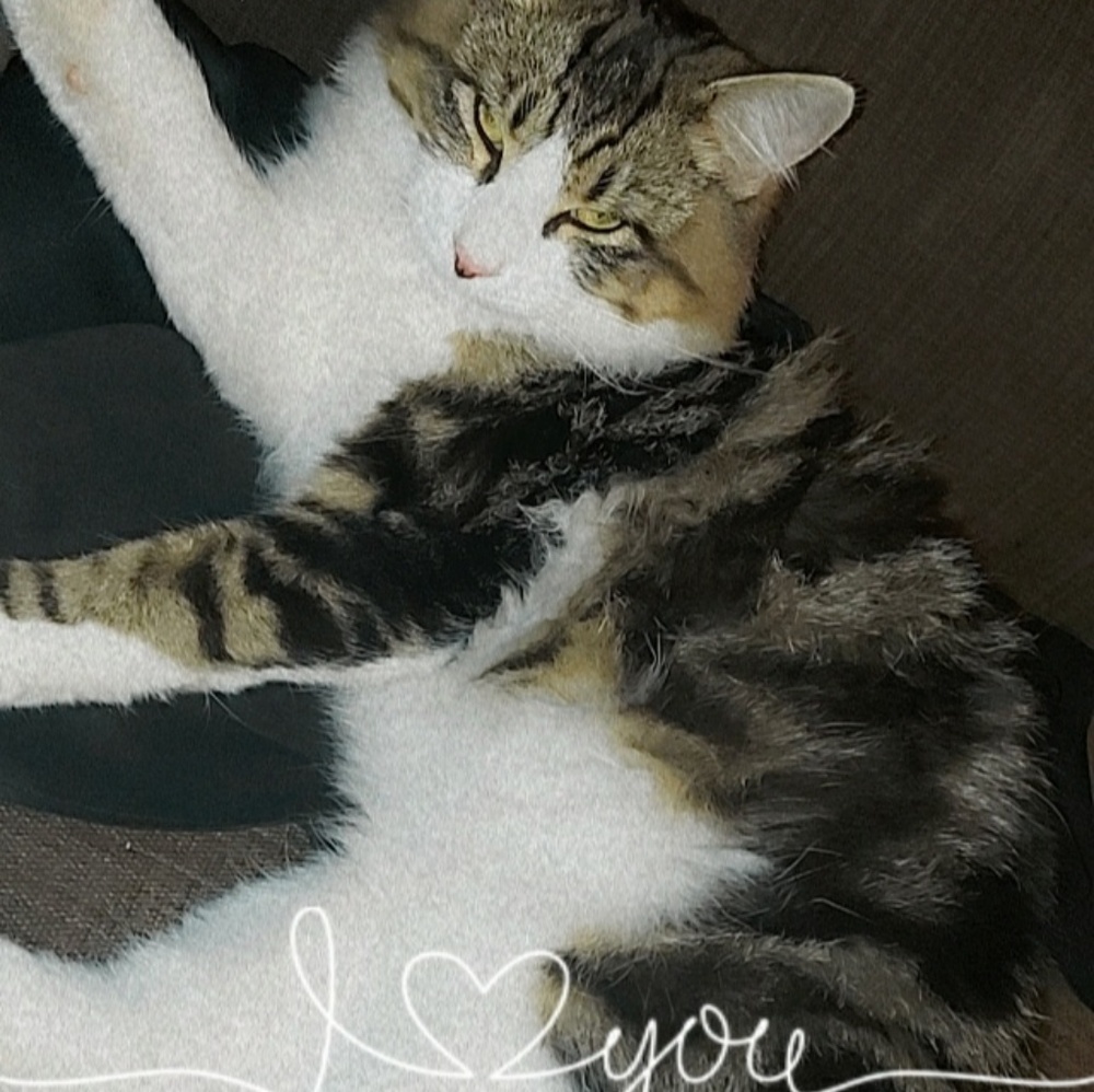 Meet your Posher, Rubi